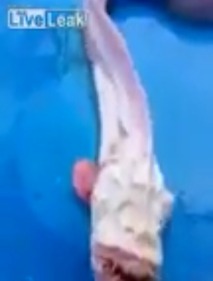 Screenshot_2016-04-30-08-07-28