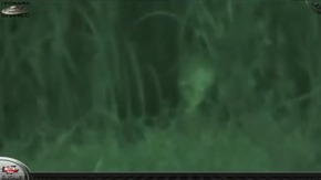 Screenshot_2015-12-07-11-49-45