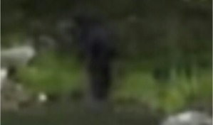 Screenshot_2016-03-13-10-51-19