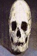 72895f36.jpg