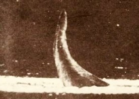 72fbe4df.jpg