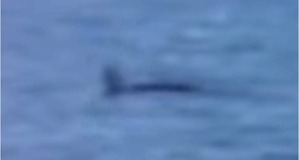 Screenshot_2016-05-27-09-10-09