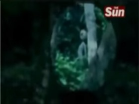 Screenshot_2015-11-15-03-08-47