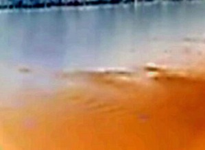 Effectplus_20160202_144318