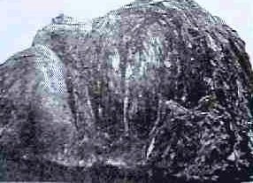 73e6ee55.jpg