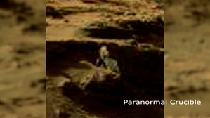 Screenshot_2016-02-28-10-04-26