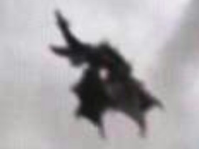 Screenshot_2015-11-21-14-22-58