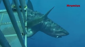 Screenshot_2015-12-22-18-28-49