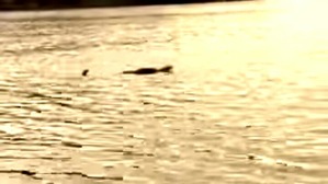 Screenshot_2016-04-10-14-47-33