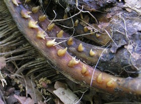 Screenshot_2015-11-01-21-40-22