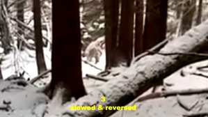 Screenshot_2016-05-07-17-35-14