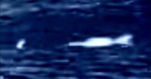 Effectplus_20160410_145144