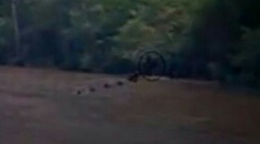 Screenshot_2015-12-04-21-14-18