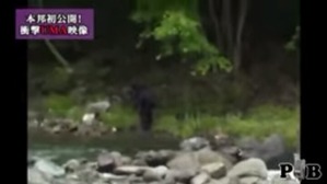 Screenshot_2016-03-13-10-37-11