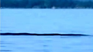 Screenshot_2016-06-29-02-37-24