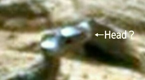 Screenshot_2016-01-16-12-08-54