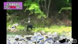 Effectplus_20160313_104215