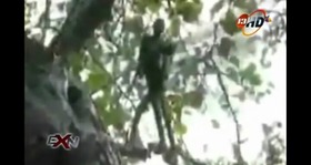 Screenshot_2015-09-12-10-46-22