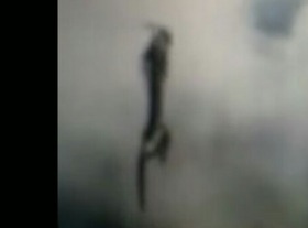 Screenshot_2015-11-08-06-04-53