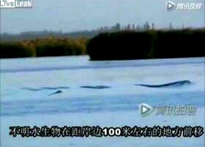 Screenshot_2016-02-14-06-58-43