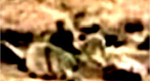 Screenshot_2016-02-28-10-59-39