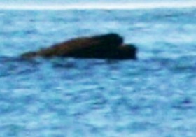 7f580134.jpg