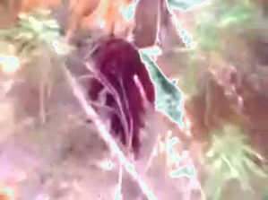 Effectplus_20160317_070942