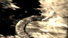 Screenshot_2015-11-03-12-14-33