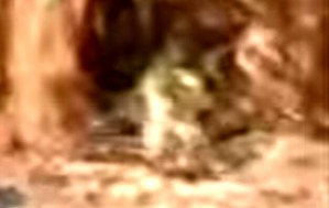 Effectplus_20160208_223447