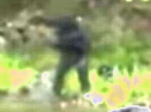 Effectplus_20160313_104818