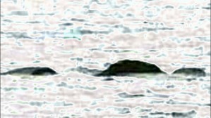 Effectplus_20160508_135042