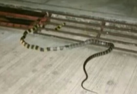 Screenshot_2015-11-20-13-28-59