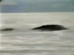 Screenshot_2016-04-06-12-11-51