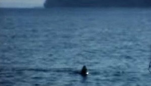 Screenshot_2016-03-31-03-41-14