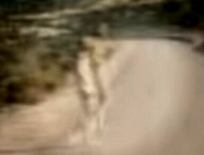 Screenshot_2015-11-26-18-28-28