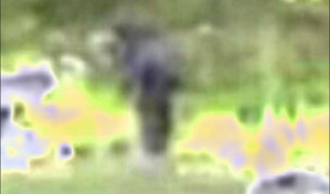 Effectplus_20160313_105153