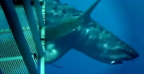 Effectplus_20151222_183334