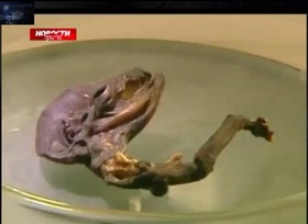 Screenshot_2015-11-02-07-57-25