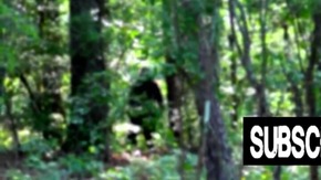 Screenshot_2015-11-29-04-34-04