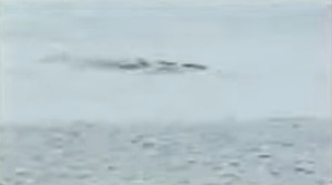 Screenshot_2016-02-28-13-43-28