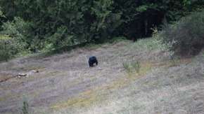 Screenshot_2016-01-16-15-34-09