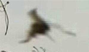 Screenshot_2016-02-27-05-52-01