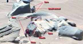 Screenshot_2015-12-11-00-27-33