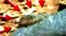 Screenshot_2015-10-23-00-59-15