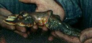 Screenshot_2016-03-10-19-59-19