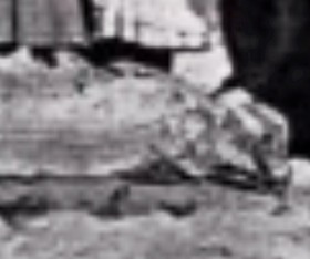 8c0d6135.jpg