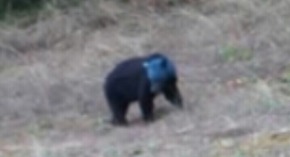 Screenshot_2016-01-16-15-33-24