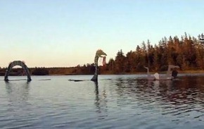 Screenshot_2015-12-09-16-16-30