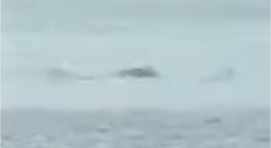 Screenshot_2016-02-28-13-49-00