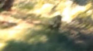 Screenshot_2016-03-19-00-57-21